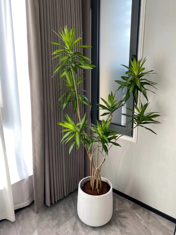 装修实景
