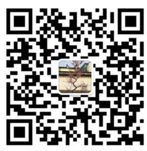 手机扫码加我为微信好友