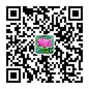 手机扫码加我为微信好友