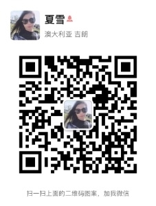 手机扫码加我为微信好友