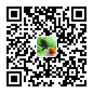 手机扫码加我为微信好友